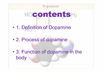 [생리학] Dopamine-2