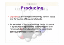 [생리학] Dopamine-4