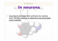 [생리학] Dopamine-5