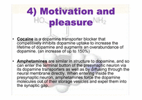 [생리학] Dopamine-14