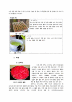 [식품학]한국의 전통색을 내는 천연 색소 물질-6