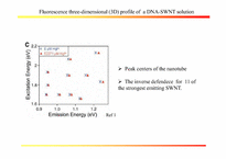 [생물화학공학]Optical Detection of DNA Conformational Polymorphism on Single-Walled Carbon Nanotubes(영문)-16
