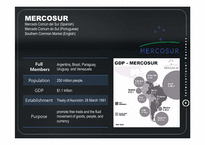 [국제경영] Dell Mercosur 사례 분석(영문)-10