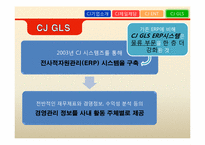 [경영정보학] CJ그룹 MIS사례조사-18