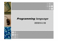[MIS] 프로그래밍 언어(Programming language)-1