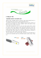 [마케팅] 레이저 탈모치료기 WELLAY 마케팅 전략-5