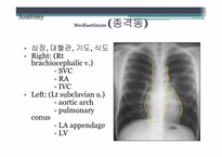 [PBL] Chest X-ray(흉부X-레이)-10