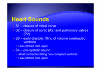 [PBL] 심잡음(Heart Murmur)의 이해-4