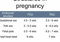 [PBL] Pregnancy ultrasound(임신 초음파)-12