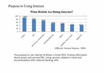 [국제문화]중국과 영국에서 인터넷 문화 연구(영문)-16