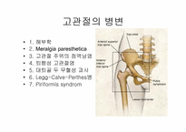 [한의학] 하지부 근골격계 질환-3