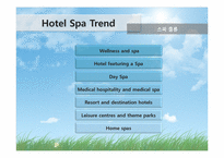 [호텔경영전략] 한국 호텔산업의 경영환경 분석과 글로벌 호텔기업 구축의 전략방안 -wellness 트렌드를 중심으로 한 호텔에서의 피트니스와 스파 연계 방안 연구-15