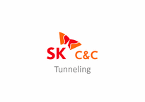 터너링(tunneling) SK Securities & SK Global, SK C&C-13