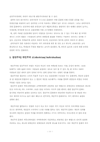 홉스테드 모형을 적용한 미국 한국 바이럴 광고의 내용분석-11