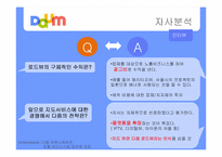 다음(daum) 미디어 비즈니스 기업 컨설팅 -로드뷰를 중심으로-10