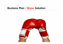 [사업계획서] 스트레스 해소 방 사업계획서-1