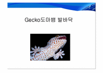 [고분자재료] Gecko 도마뱀발바닥을 이용한 건식접착제-4