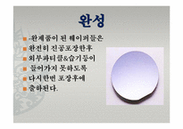 [반도체 공정] 웨이퍼 제조공정-16