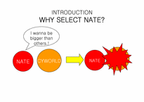 네이트(NATE) 마케팅분석-3