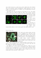 [식물생리학] Experiment Arabidopsis thaliana-14