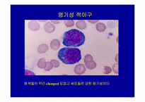 [임상화학] 적혈구의 형태-10