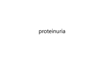 [의학과] proteinuria-1