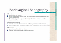 [의학과] 산부인과 정상 Sonography-6