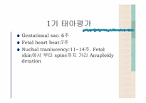 [의학과] 산부인과 정상 Sonography-11
