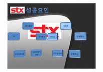 STX 성공요인 레포트-5