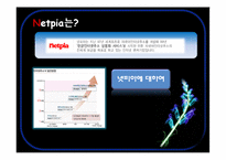 netpia 넷피아 기업분석-3