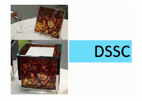 [분자시스템 공학 설계] DSSC(염료감응형태양전지) 기술의 현황과 전망-5