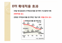 [기업과 정부] DTI(Debt To Income)규제-20