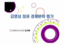 [한국정치사] 김영삼 정권 평가(사회분야·남북관계)-19