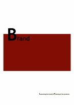 [마케팅] 브랜드런칭과 전략계획(영문)-17