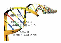 이기적 유전자 레포트-11