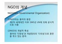 [정치학] NGO(Non-Governmental Organization) 정치론-3