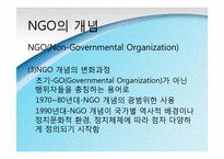 [정치학] NGO(Non-Governmental Organization) 정치론-4