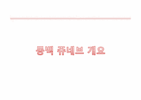 [부동산마케팅] 용인 동백지구 쥬네브 쇼핑몰 활성화 방안-3