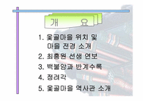 [영남지방학] 유교적 이상사회를 실현한 선비 백불암 최흥원-1
