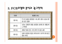 [소비자행동론] FCB Grid모델-8