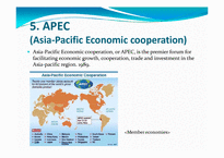 [국제경영] 국제기구 기관조사 보고서(WTO, EU, NATO, ASEAN, APEC)(영문)-11