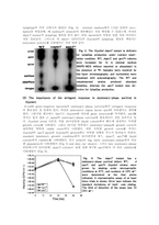 [학사] The Stringent Response of Helicobacter pylori -7