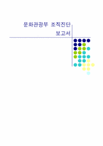 [조직론] 문화관광부 조직진단-1
