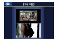 [글로벌 브랜드 커뮤니케이션] 한국과 미국 바이럴 광고에서의 문화차원 비교-6