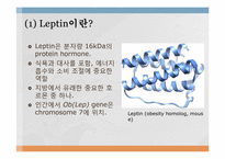 [대사조절학] Leptin-4