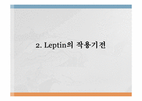 [대사조절학] Leptin-7