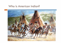 American Indian(아메리칸인디언)의 조직문화-4