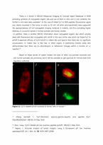 [생명공학] Cancer cell Imaging & Treatment(영문)-12