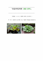 [교육학개론] 초등과학교육론(생명 영역) 4-2-1 식물의 세계 교수학습 과정안-1