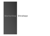 [유통관리] CJ올리브영 마케팅전략 -20대 고객유치방안 `블루오션을 위한 MOVE 전략`-16